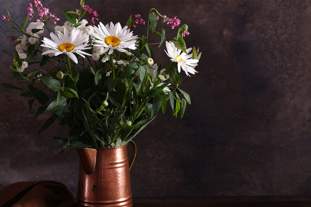 plantas-flor-interior