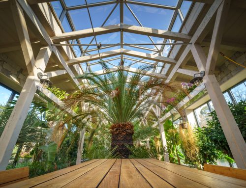 Guía para preparar tu jardín de cara al invierno